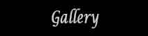 ="GalleryPageへ"